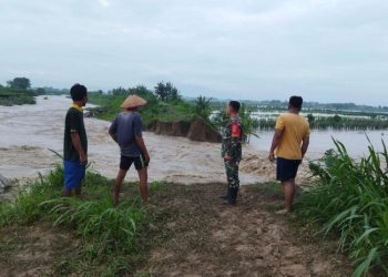 Sering Jebol, BBWS Diminta Perkuat Tanggul Sungai Tuntang dan Cabean Demak