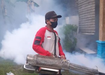 Waspada DBD! 60 Kasus Ditemukan di Pekalongan Sepanjang Awal Tahun