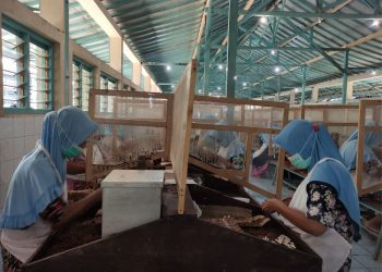 45 Pabrik Rokok Baru Berdiri, KPPBC Kudus: Bukti Keberhasilan Gempur Rokok Ilegal