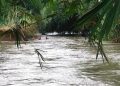 Korban Diduga Hanyut di Sungai Kupang Pekalongan Belum Ditemukan Hingga Kini 17 Korban Diduga Hanyut di Sungai Kupang Pekalongan Belum Ditemukan Hingga Kini