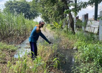 Imbas TPA Tanjungrejo Kudus Overlaod, Warga Merugi Karena Lahan Tercemar Limbah