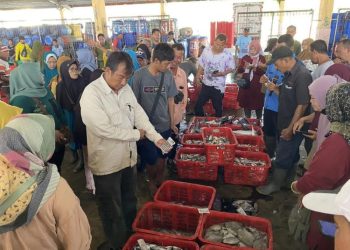 Belum Penuhi Target Retribusi, Produksi Ikan di Kota Pekalongan Hadapi Sejumlah Kendala