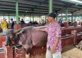 Terancam Gulung Tikar Karena PMK, Peternak di Kudus Harap Bantuan Pemerintah 19 Terancam Gulung Tikar Karena PMK, Peternak di Kudus Harap Bantuan Pemerintah