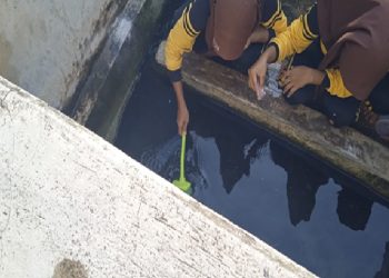 SMP Negeri 1 Sale Rembang dan Puskesmas Kerjasama Berantas Jentik Nyamuk