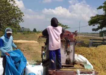 Blora Targetkan Panen 284.928 Ton Gabah Kering di Musim Tanam 1