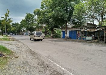 Mulai Rusak, Tiga Ruas Jalan Provinsi di Blora Belum Tersentuh Betonisasi 