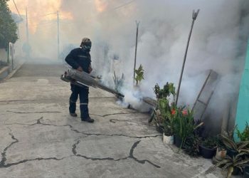 Ketidakstabilan Cuaca Dinilai Picu DBD Meningkat, Warga Pekalongan Diminta Waspada