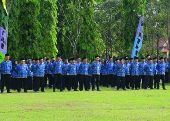 Efisiensi Anggaran Dipastikan Tak Pengaruhi Gaji Guru Honorer di Pekalongan