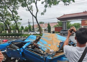 Pohon Tumbang Timpa Mobil di Semarang, Dua Korban Dilarikan ke RS