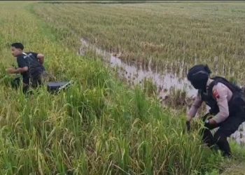 Diduga Hendak Balap Liar di Kradenan Blora, 51 Motor Diamankan Polisi