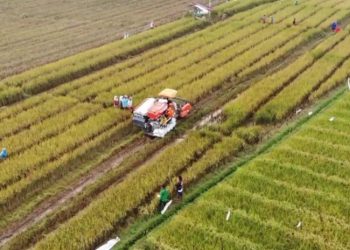 Ketahanan Pangan Lewat Desa Tematik di Rembang Akan Manfaatkan Dana Desa