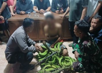 Kronologi Penangkapan Pelajar Pencuri Pisang di Gunungsari Pati
