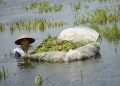 Banjir di Sukolilo Pati Rendam Rumah dan Sawah, Petani Gagal Panen 19 Banjir di Sukolilo Pati Rendam Rumah dan Sawah, Petani Gagal Panen
