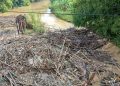 Tumpukan Sampah di Sungai Lusi, Warga Ngilen Blora Diminta Lapor ke DPUPR 16 Tumpukan Sampah di Sungai Lusi, Warga Ngilen Blora Diminta Lapor ke DPUPR