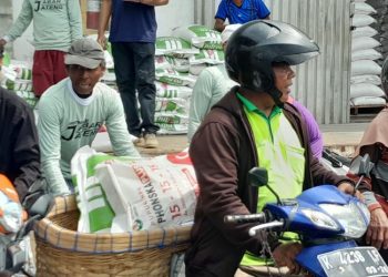 Tak Sesuai Masa Tanam, Distribusi Pupuk Subsidi di Jateng Dinilai Kurang Efisien