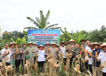 Dukung Asta Cita, Desa Bandungharjo Grobogan Panen Raya Jagung Serentak