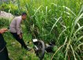 Warga Dukuhseti Pati Ditemukan Meninggal di Kudus, Ini Identitasnya 16 Warga Dukuhseti Pati Ditemukan Meninggal di Kudus, Ini Identitasnya