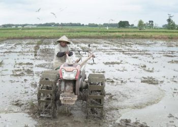 Dorong Regenerasi, Dewan Bakal Inisiasi Wadah Khusus Petani Milenial di Pati