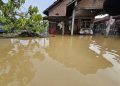Ratusan Rumah di Batangan Pati Terendam Banjir Setinggi 30-70 Cm, Aktivitas Warga Lumpuh 19 Ratusan Rumah di Batangan Pati Terendam Banjir Setinggi 30-70 Cm, Aktivitas Warga Lumpuh