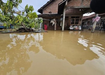 Ratusan Rumah di Batangan Pati Terendam Banjir Setinggi 30-70 Cm, Aktivitas Warga Lumpuh