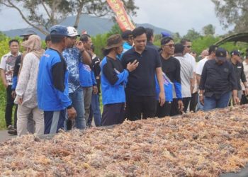 Potensi Besar, Bupati Jepara Persilakan Pembudidaya Rumput Laut Ajukan Bantuan