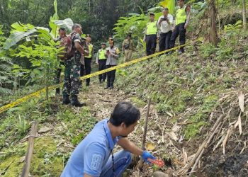 Warga Salatiga Temukan Granat Nanas di Lahan Kosong, Diduga Masih Aktif