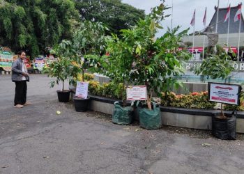 Larang Karangan Bunga, Setda Keluarkan SE Pemberian Ucapan HUT Ke-299 Grobogan