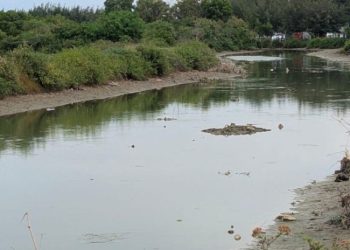 Atasi Pendangkalan Sungai Pasarbanggi Rembang, Pembangunan Tanggul Diusulkan