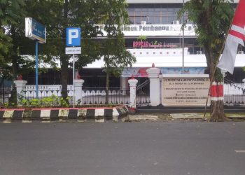 Investor China Bakal Bangun Pabrik Pohon Natal Senilai Rp 3 T di Grobogan