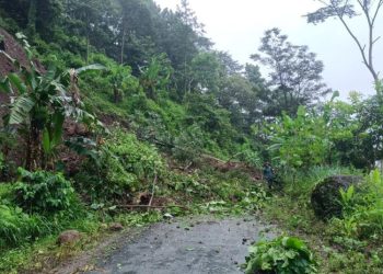 Tebing 30 Meter Longsor di Tempur Jepara, Listrik Padam dan Akses Tertutup Total