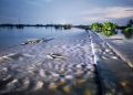 Sungai Tuntang di Grobogan Meluap, 2 Perjalanan KA Dibatalkan dan 3 KA Harus Memutar 19 Sungai Tuntang di Grobogan Meluap, 2 Perjalanan KA Dibatalkan dan 3 KA Harus Memutar