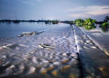 Sungai Tuntang di Grobogan Meluap, 2 Perjalanan KA Dibatalkan dan 3 KA Harus Memutar 6 Sungai Tuntang di Grobogan Meluap, 2 Perjalanan KA Dibatalkan dan 3 KA Harus Memutar