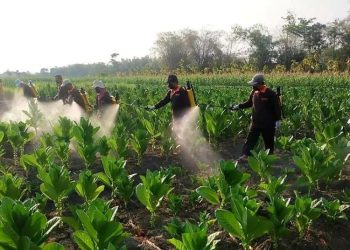 Tujuh OPD di Blora dapat Kucuran DBHCHT 2025 Sebanyak Rp 22 Miliar