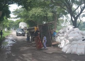 Truk Bermuatan Kotoran Ayam Terguling di Winong Pati Akibat Jalan Rusak