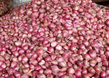 Harga Bawang Merah di Blora Naik, Para Ibu Rumah Tangga Mengeluh
