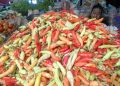 Harga Cabai di Jateng Naik Hingga Rp 120 Ribu di Awal Ramadan 15 Harga Cabai di Jateng Naik Hingga Rp 120 Ribu di Awal Ramadan
