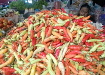 Harga Cabai di Jateng Naik Hingga Rp 120 Ribu di Awal Ramadan