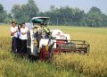 Panen Raya di Kudus Diperkirakan Alami Surplus Hingga 100 Ton Gabah 19 Panen Raya di Kudus Diperkirakan Alami Surplus Hingga 100 Ton Gabah