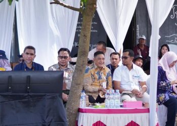 Dewan Apresiasi Pati Jadi Lumbung Pangan Jateng, Harapkan Produksi Gabah Terus Meningkat