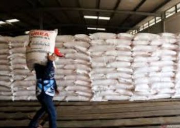 Cegah Kendala Penyaluran, Petani di Salatiga Didampingi Susun e-RDKK Pupuk Bersubsidi