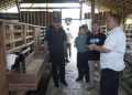 Meski Kena Efisiensi Anggaran, Layanan Tani dan Peternakan di Blora Dipastikan Maksimal 15 Meski Kena Efisiensi Anggaran, Layanan Tani dan Peternakan di Blora Dipastikan Maksimal