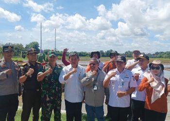 Dukung Swasembada Pangan, Jepara Targetkan Tanam Padi 48 Ribu Hektare Tahun Ini