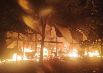 Kebakaran Kandang Ayam di Jekulo Kudus, 1 Korban Luka-luka