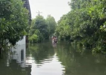Rob Setinggi Lutut Kembali Genangi Puluhan Rumah di Kendal