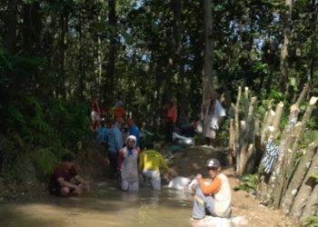 Tingkatkan Panen Hasil Agroforestri Jagung, Irigasi di Godan Grobogan Diperbaiki