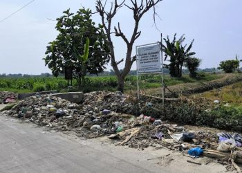 Sampah Berserakan di Patebon Kendal, Warga Diminta Tak Buang Sembarangan