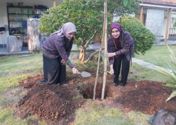 Lestarikan Simbol Sejarah, Bunga Kantil Ditanam di Belakang Pendopo RA Kartini Jepara