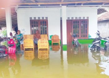 Langganan Rob, Kendal Bagian Utara Terancam Tenggelam