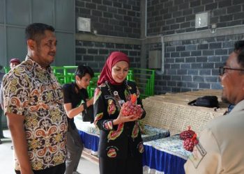 Jaga Harga Stabil, Bupati Kendal Imbau Petani Simpan Bawang Merah di Cold Storage