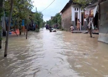 Banjir Demak Rendam 10 Desa, Ketinggian Air hingga 70 Centimeter 6 Banjir Demak Rendam 10 Desa, Ketinggian Air hingga 70 Centimeter
